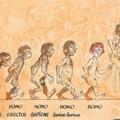 homo évolution