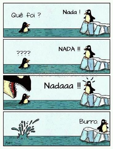 burro - meme