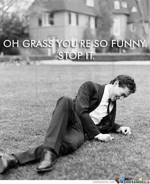 so funny grass - meme