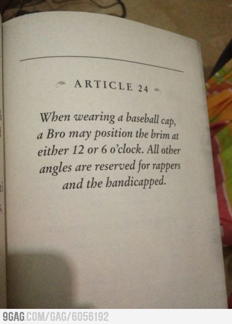 best of the bro code - Meme by bouwhuismj :) Memedroid