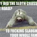 SLOTH!