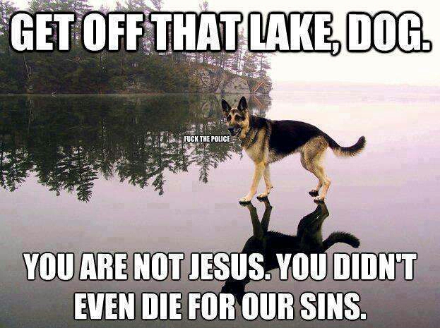 you didnt even die for our sins. -_- - meme