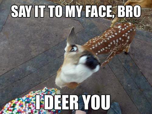 I deer ya bro - meme