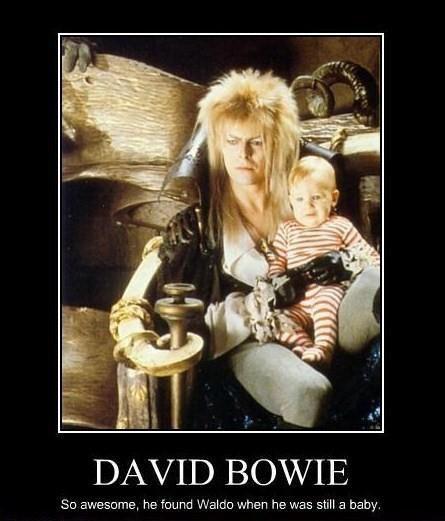David Bowie - meme