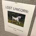Lost unicorn