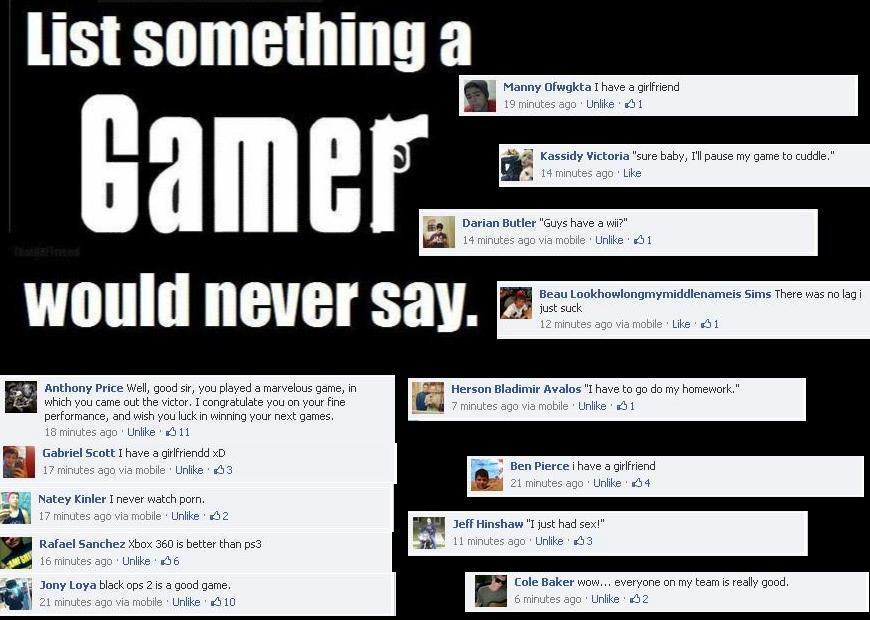 Sh*t gamers don't say - meme