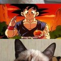 Todos quieren a Goku :)