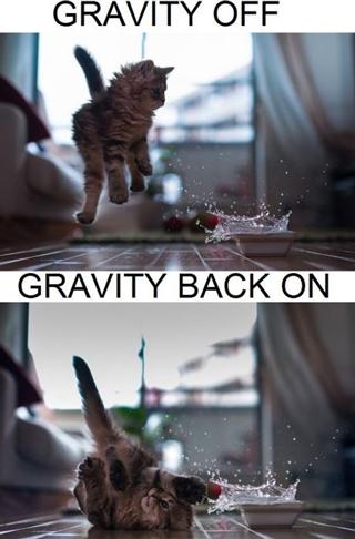 darn gravity - meme