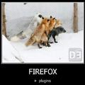 oh firefox(s)
