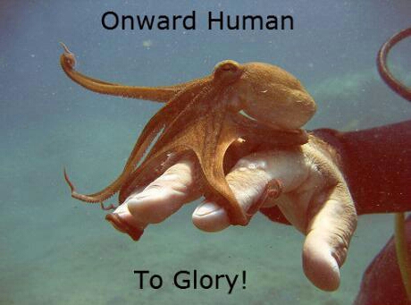 onward human! - meme