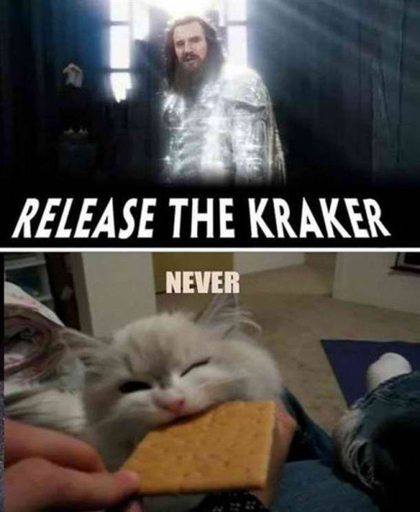 never ever let go kitten - meme
