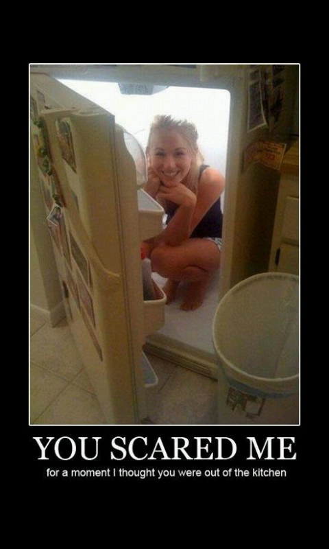 Well, I'm out of the kitchen. - meme