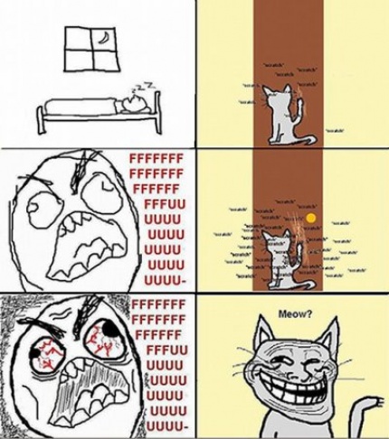 That Cat ... - meme