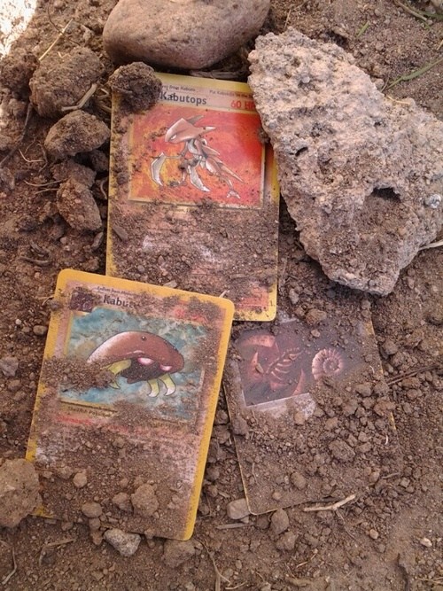 I found some fossils digging through my yard. - meme