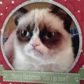 awesome xmas card from my bf!