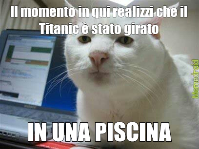 TITANIC CAT - meme