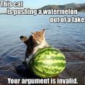 cat + watermelon= yes