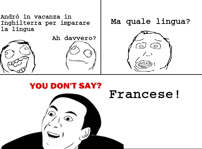 francese!!! - meme