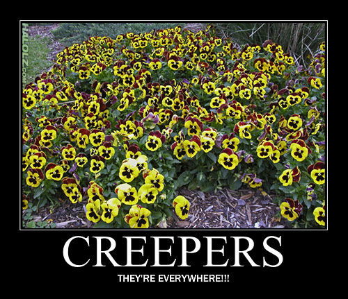 Creepersssss - meme