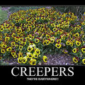 Creepersssss