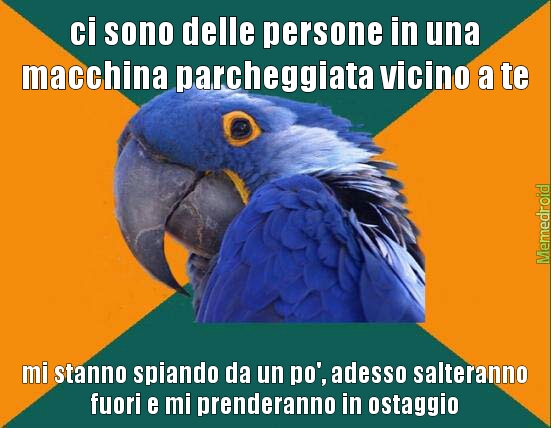 pappagallo - meme
