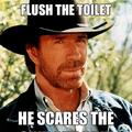 Chuck Norris Toilet