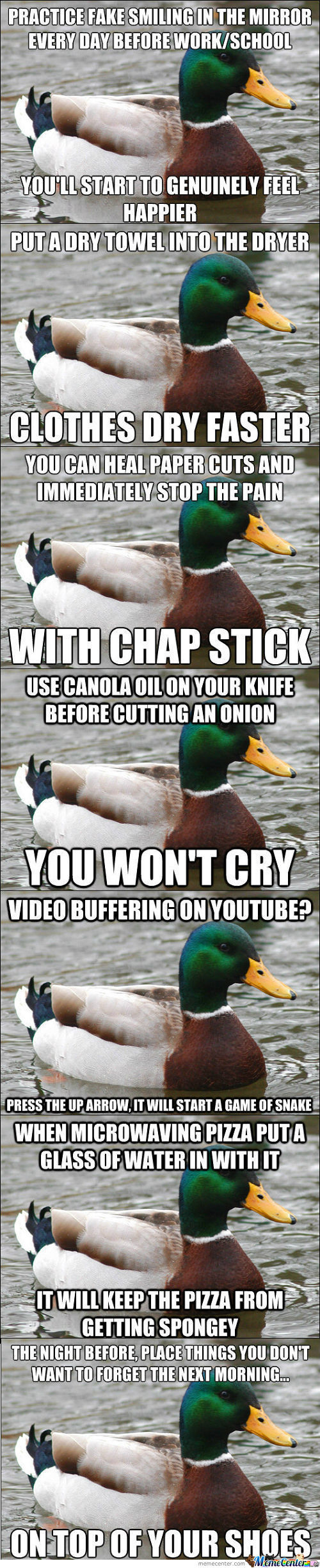 Advice duck - meme