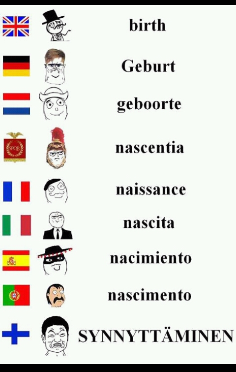 Suomi on hieno kieli - meme