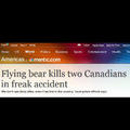 flying bear...fuck this shit