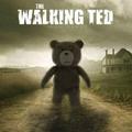 ted xd
