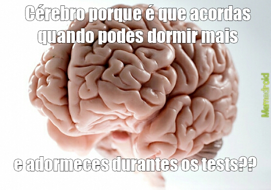 brains - meme
