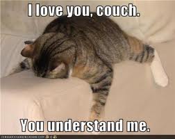 Cat and Couch - meme