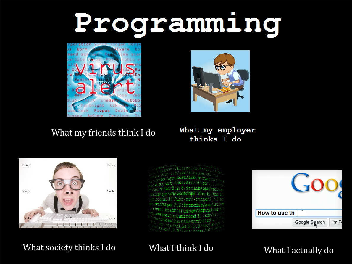 programmer - meme
