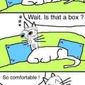 Cats in a nutshell