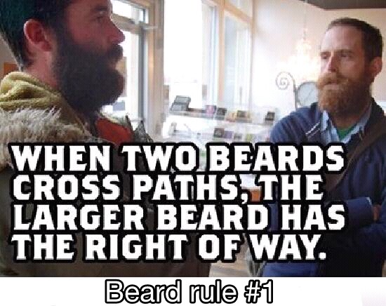 Rules of Beards. - meme