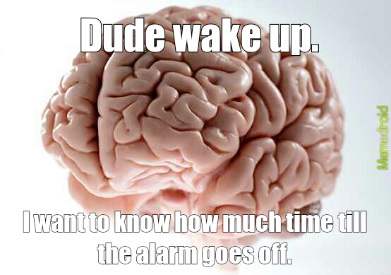 Oh wait no, false alarm, we can go back to sleep. - meme