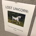 unicorno perdido