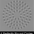 Circleception