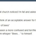 bees...