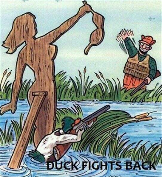 Duck fights back - meme