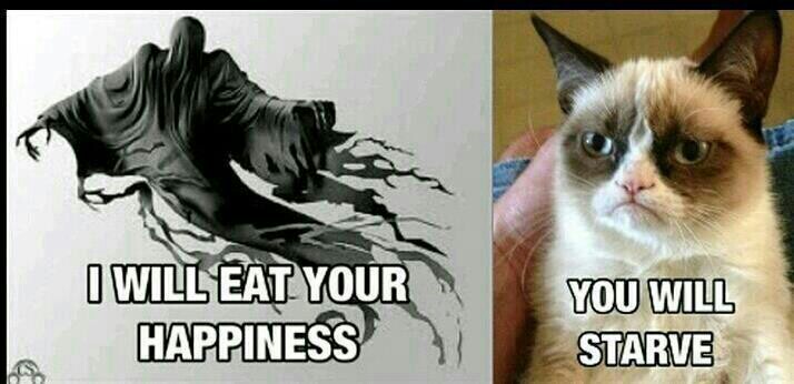 Dementor vs. Grumpy cat - meme