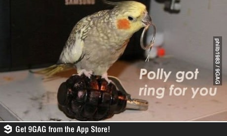 Polly Blow up too - meme