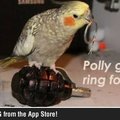Polly Blow up too