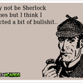 Sherlock Holmes bitch
